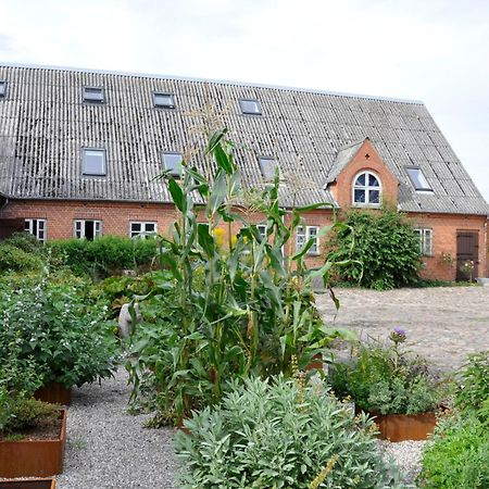 Lundsgaard Bed & Breakfast Fåborg Exterior foto