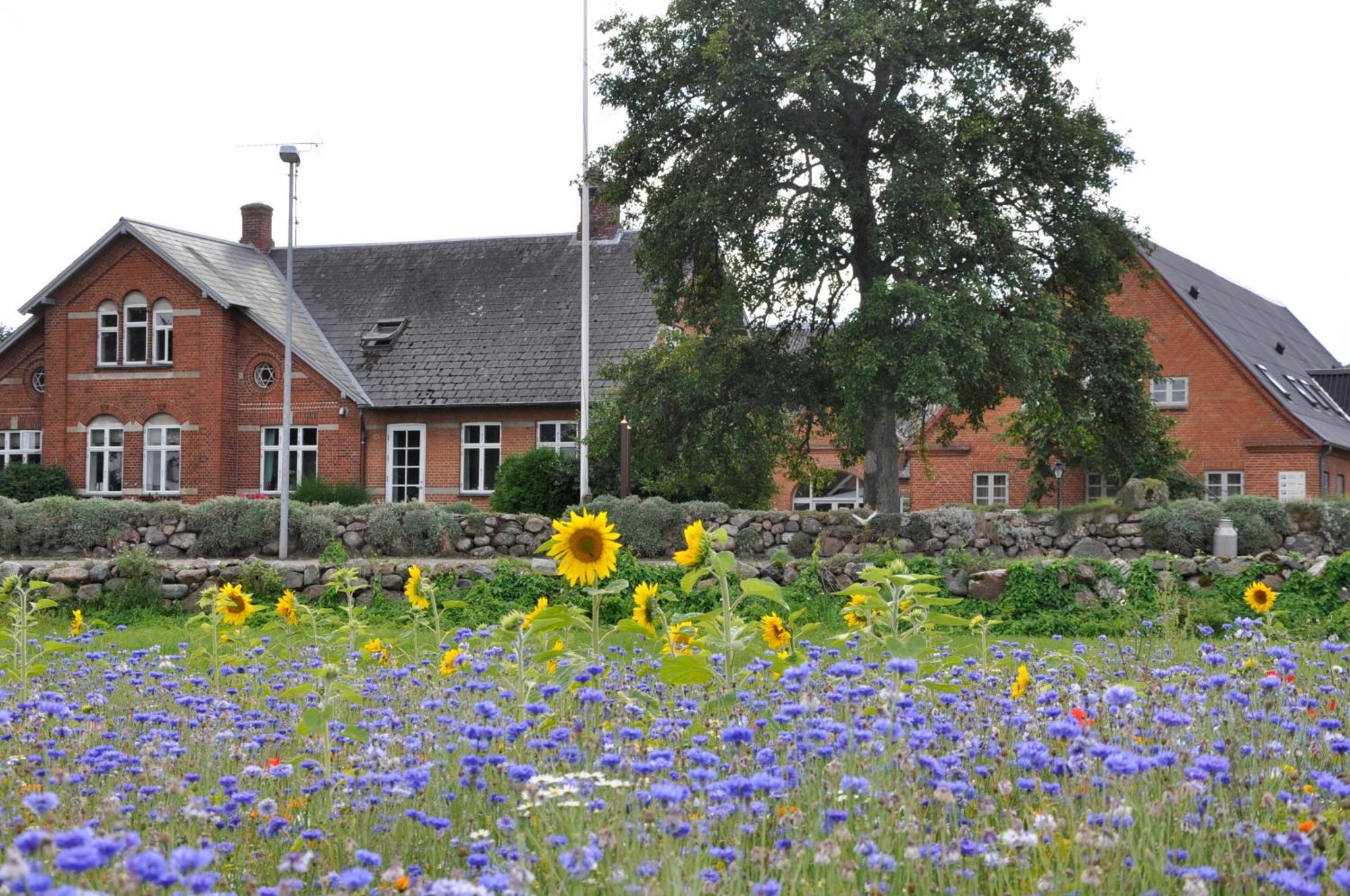 Lundsgaard Bed & Breakfast Fåborg Exterior foto